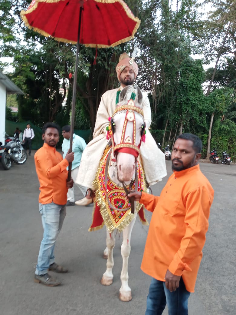 Horse Hire for all Occasion in Goa