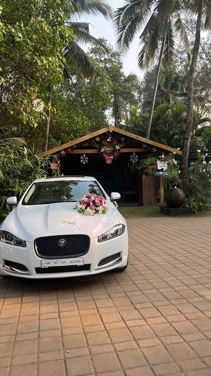 D Cunha Decorators in Goa