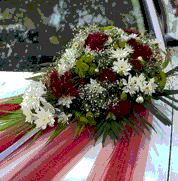 The Bridal Ride - Luxury Cars for Weddings & Other Events in Goa