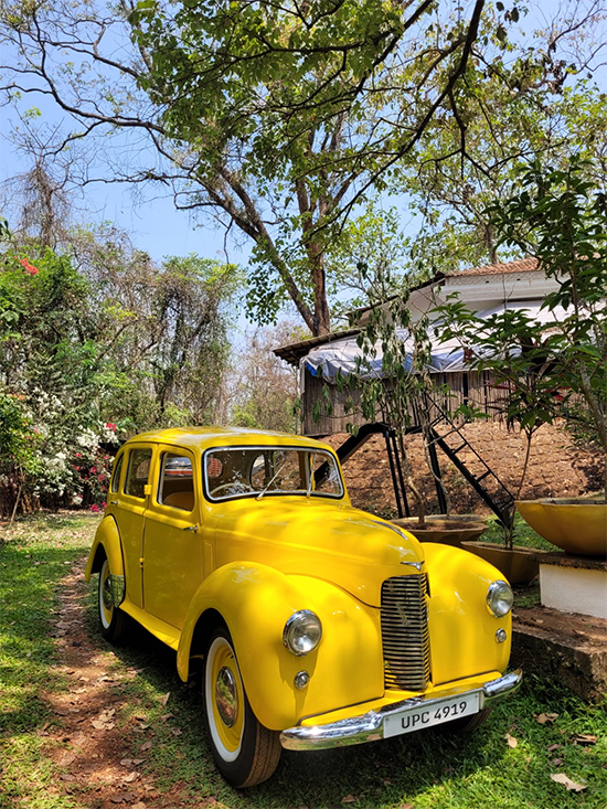 Vintage, Classic & Modern Luxury Wedding Cars for Hire in Goa